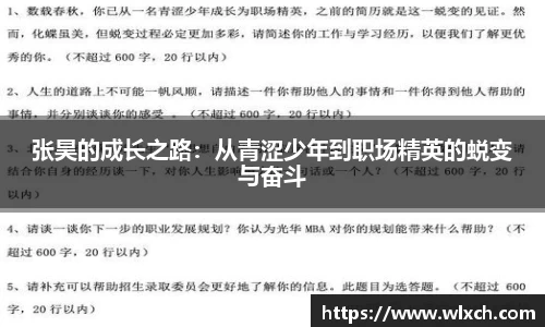 张昊的成长之路：从青涩少年到职场精英的蜕变与奋斗